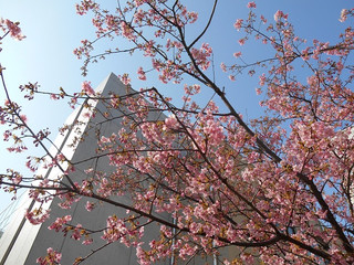 Photo_4