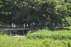 Dsc_0960_042_2