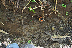 Dsc_0969_043_2
