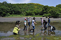 Dsc_0986_045_2