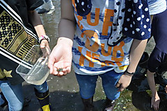 Dsc_0987_046_2