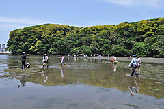 Dsc_0991_047_2
